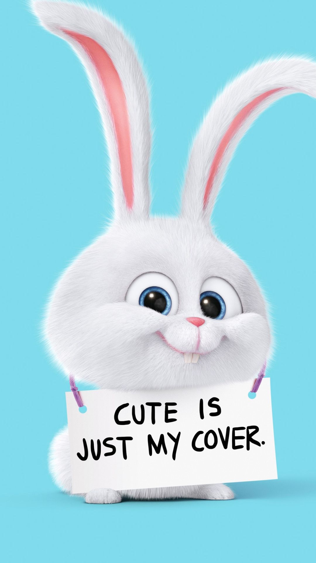 57+ Cute Wallpaper Rabbit