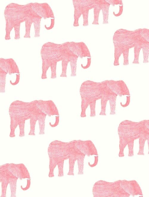 58+ Pink Background Elephant