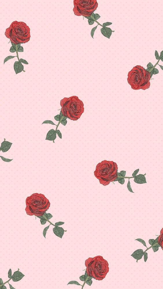 40+ Cute Wallpaper Rose