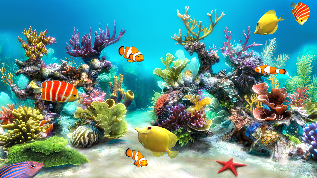 Desktop Aquarium 3d Live Wallpaper