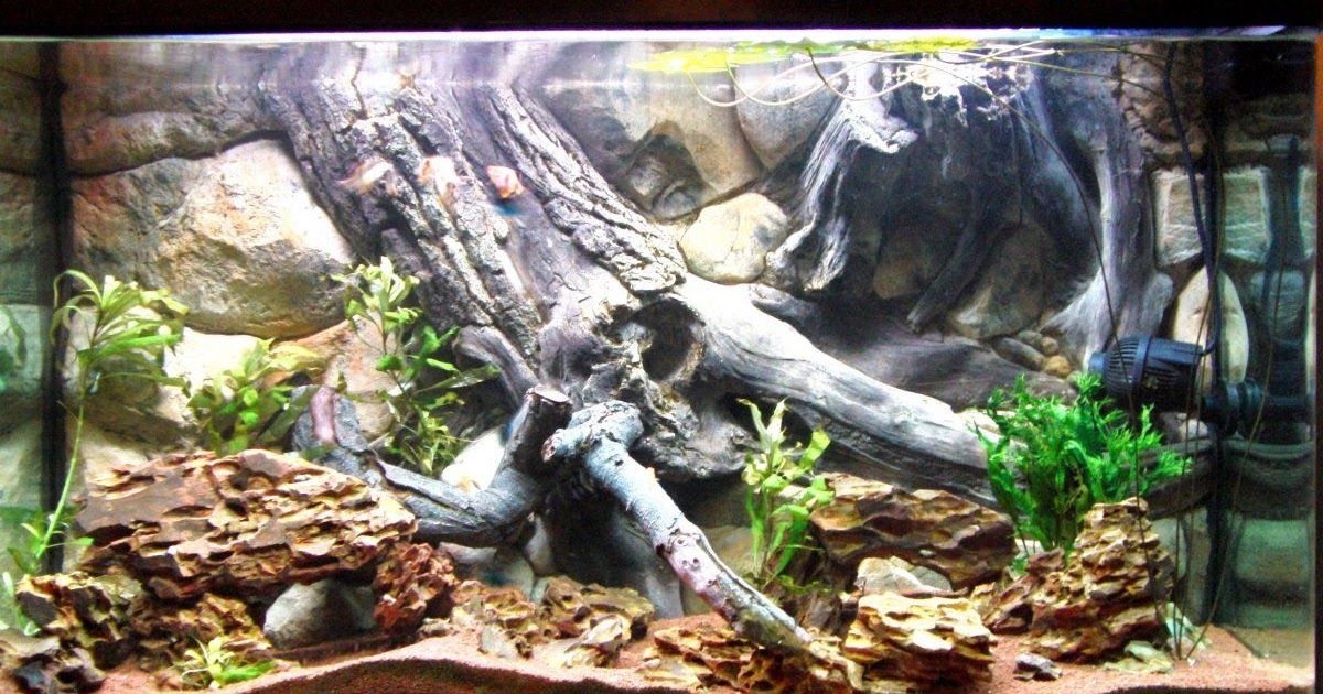 105+  Background Keren: Aquarium Backgrounds 3d Uk