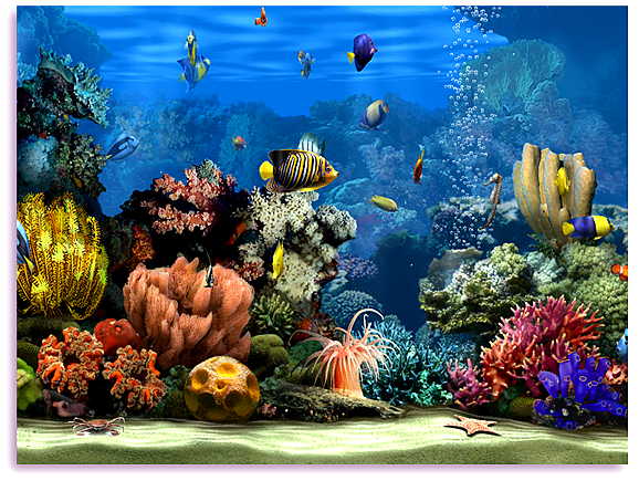 Download Wallpaper Aquarium 3d For Windows 7